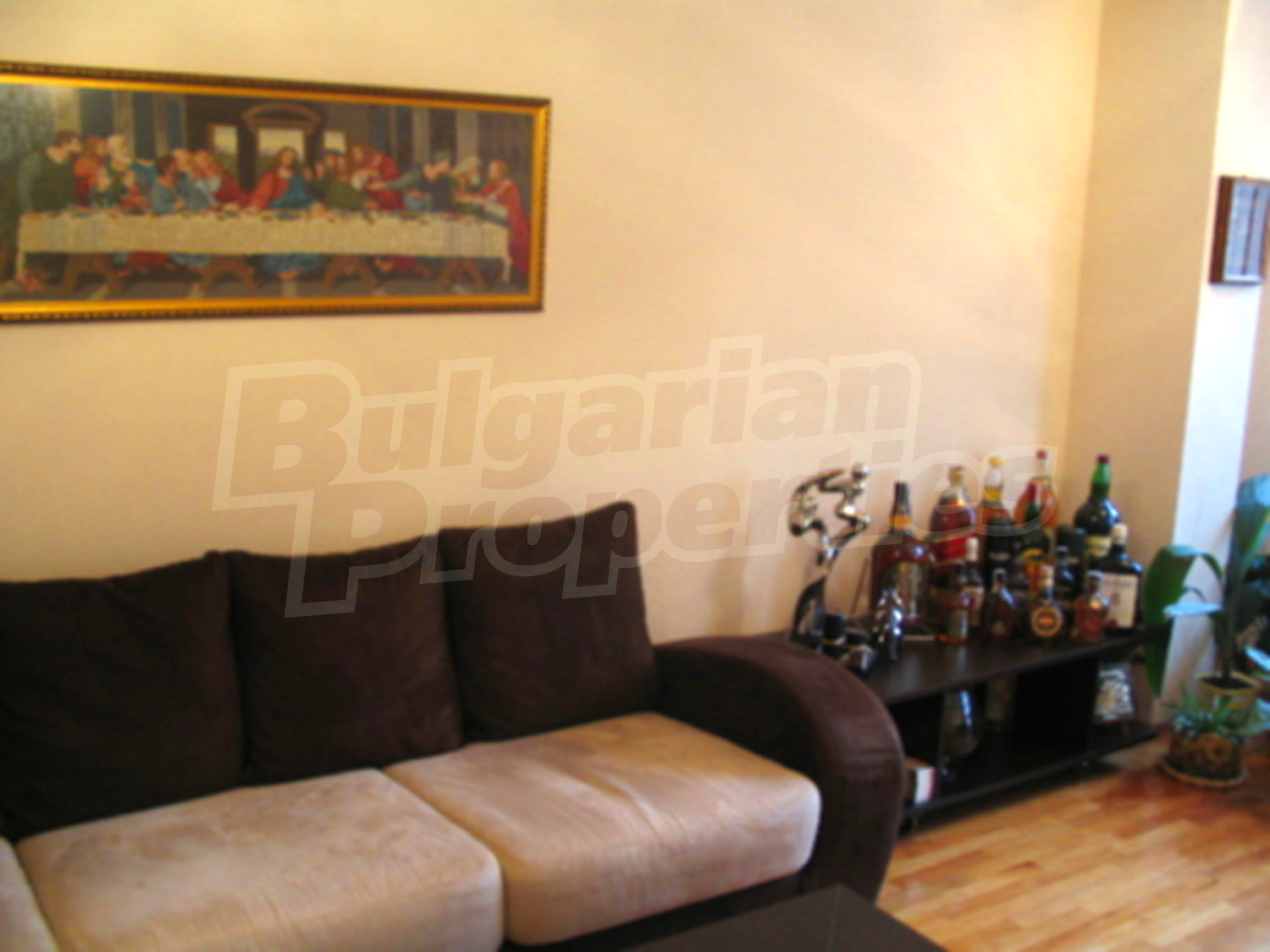 Gallery Picture 11