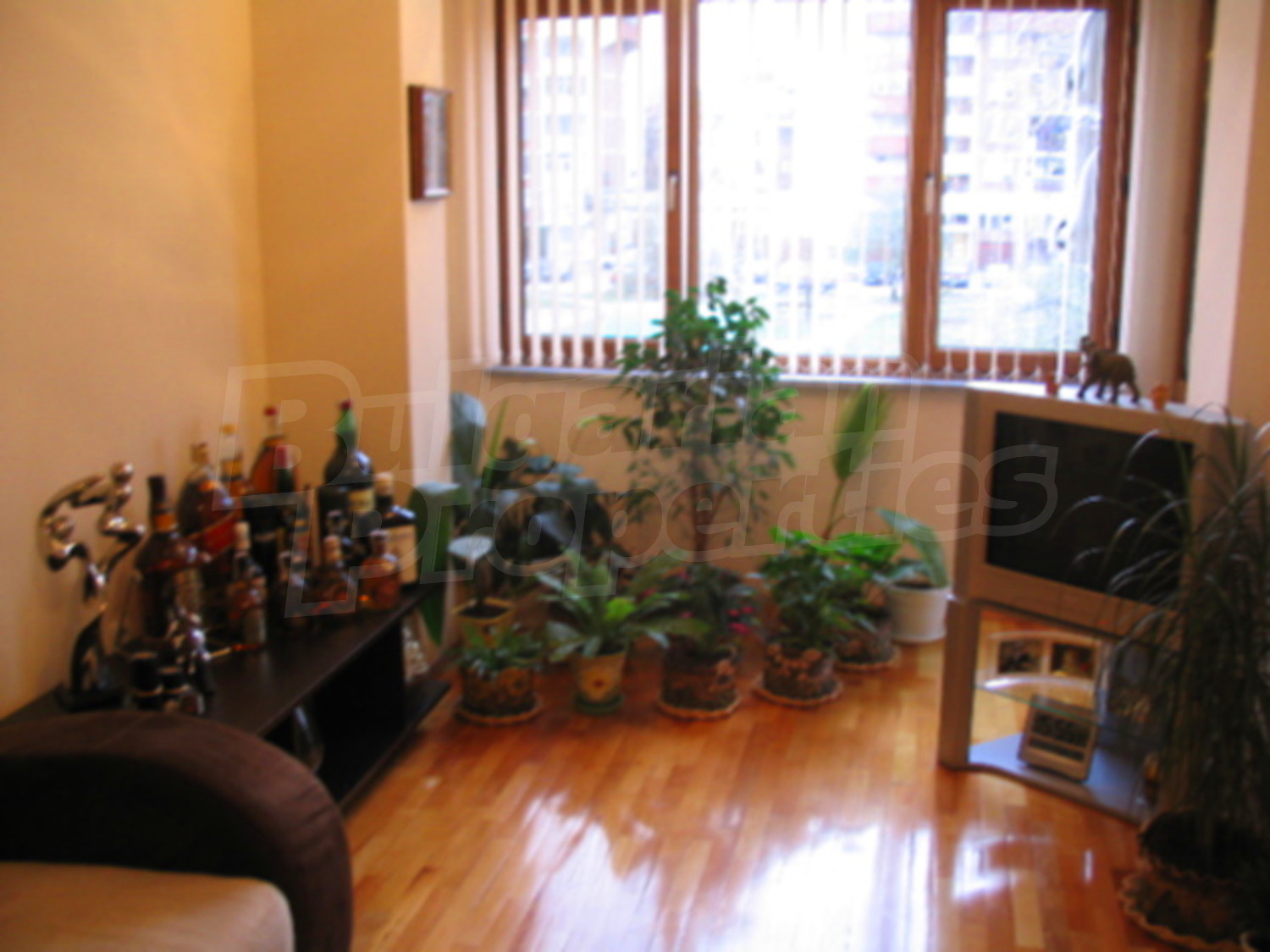 Gallery Picture 12
