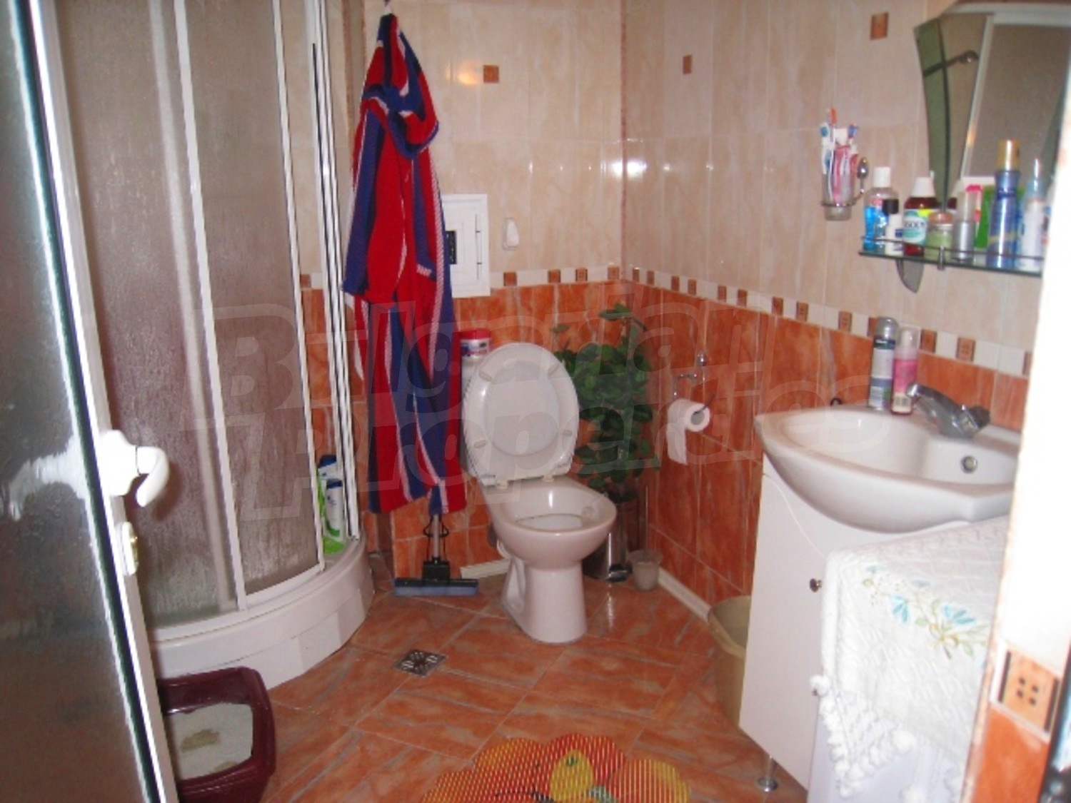 Gallery Picture 15