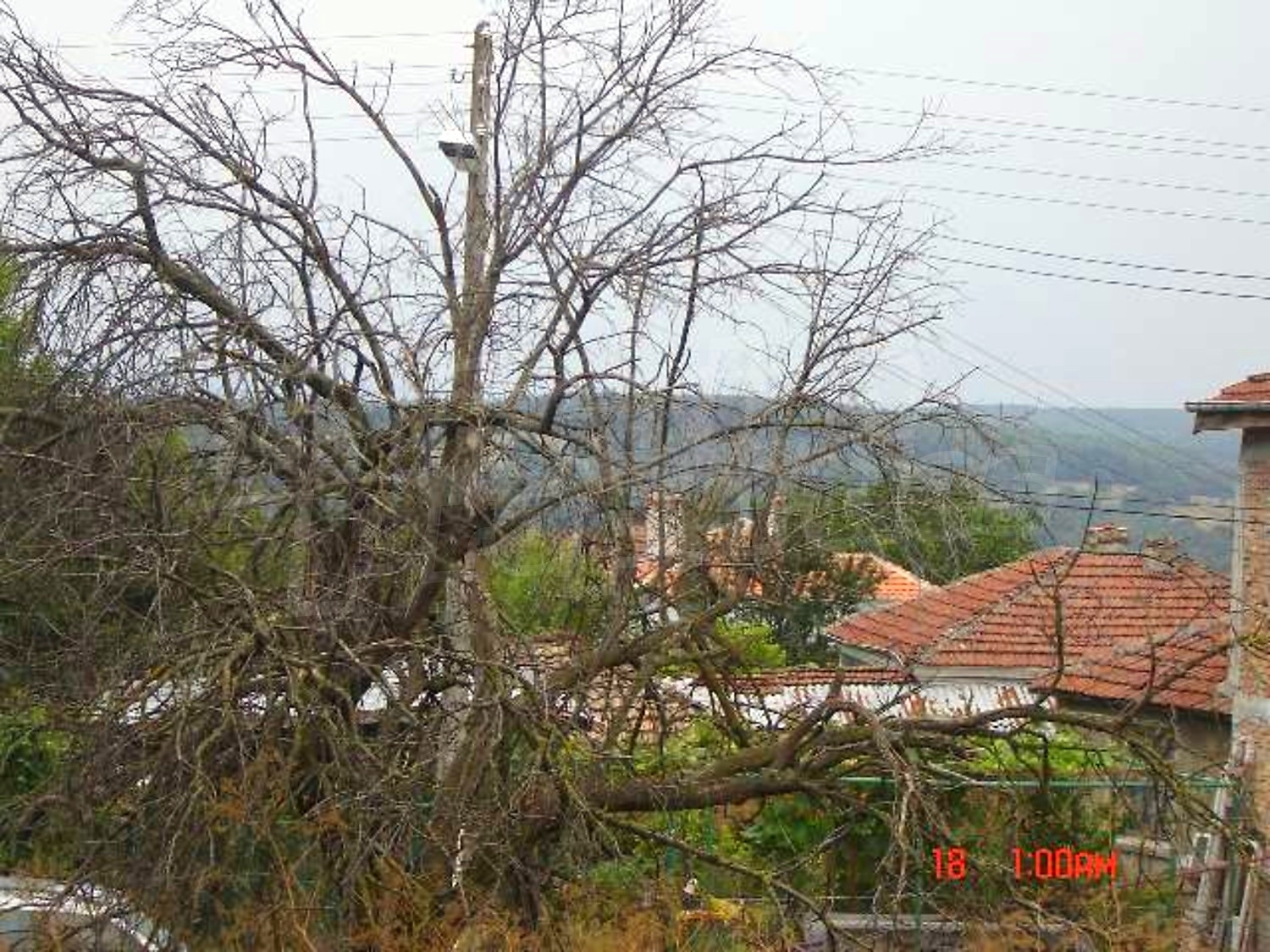 Gallery Picture 6