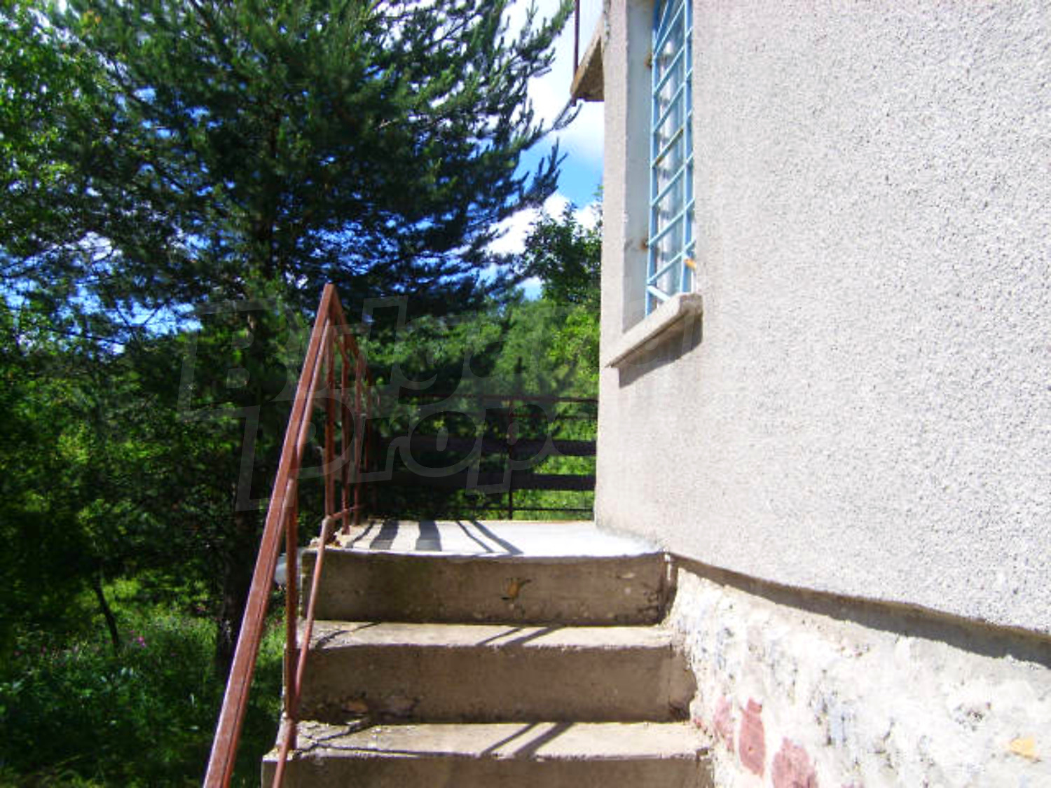 Gallery Picture 14