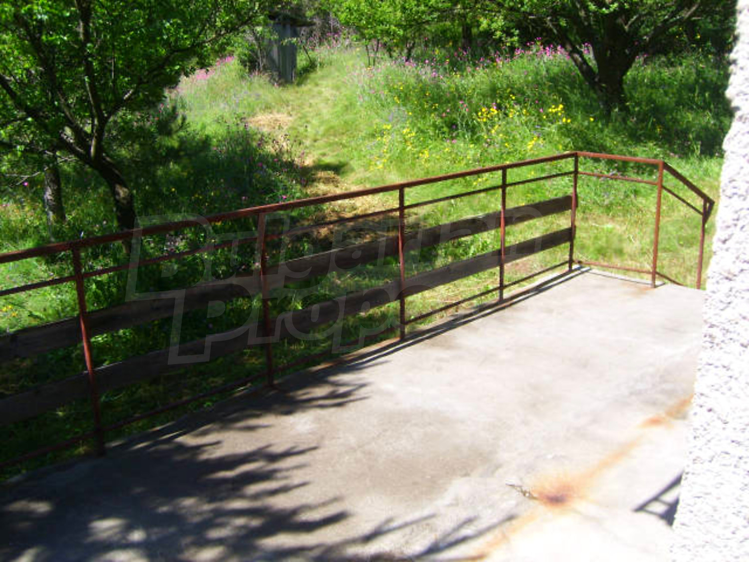 Gallery Picture 15