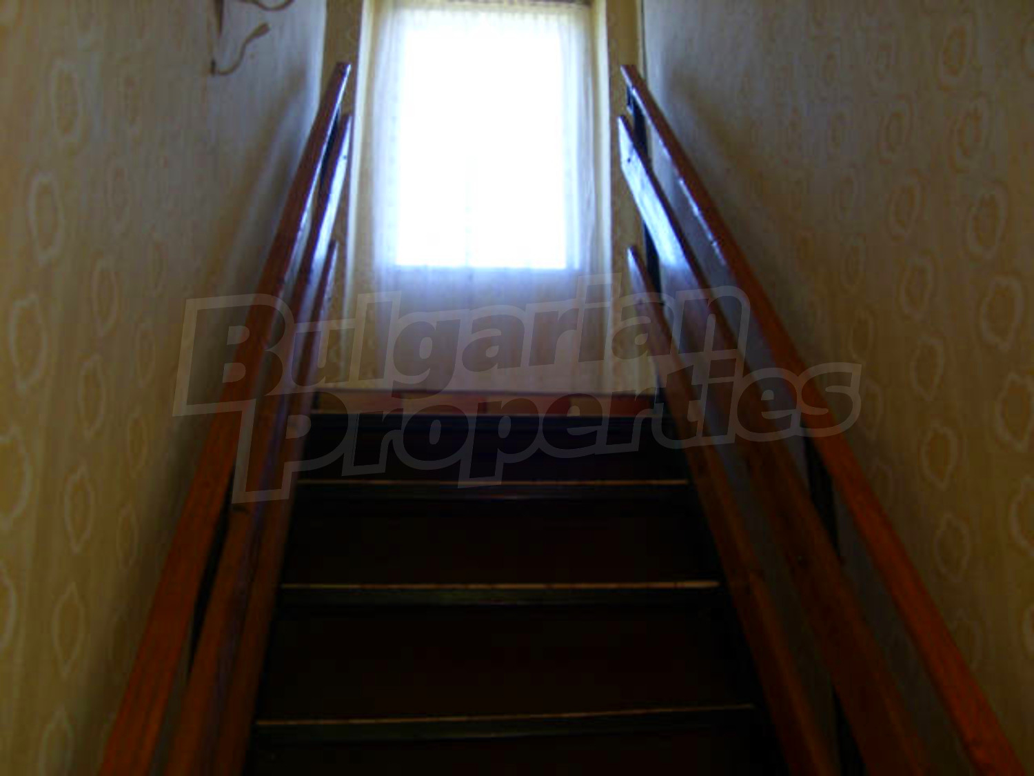Gallery Picture 8