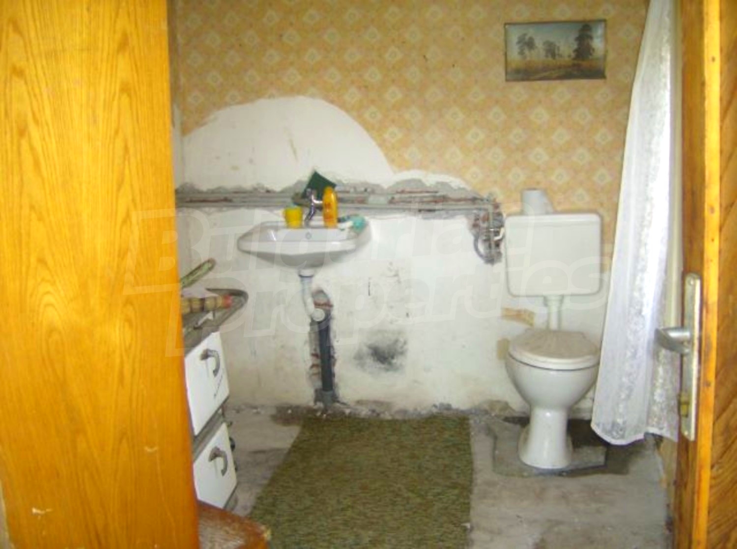 Gallery Picture 7
