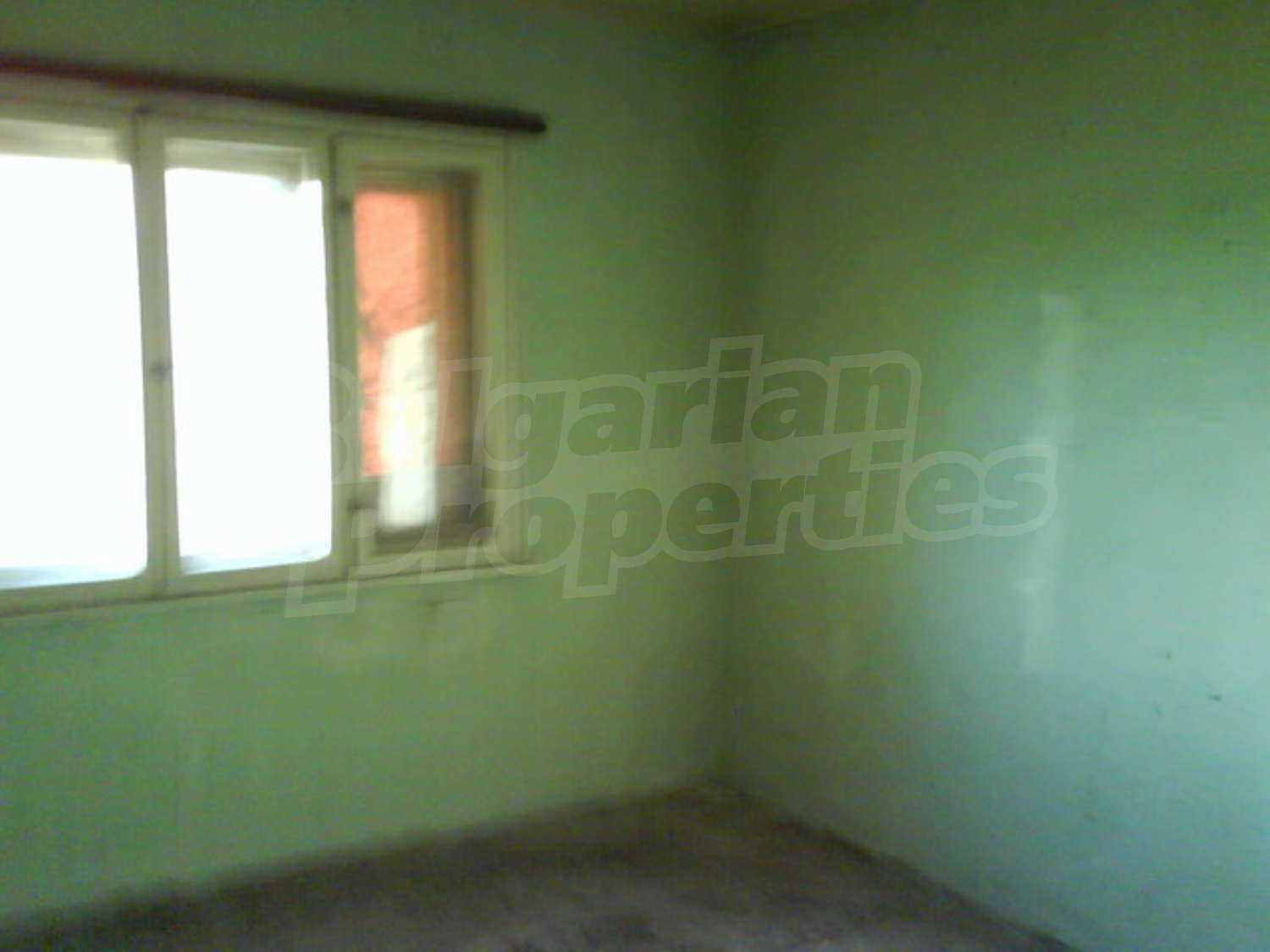 Gallery Picture 11
