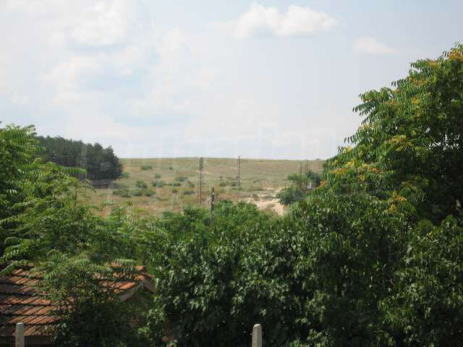 Gallery Picture 24