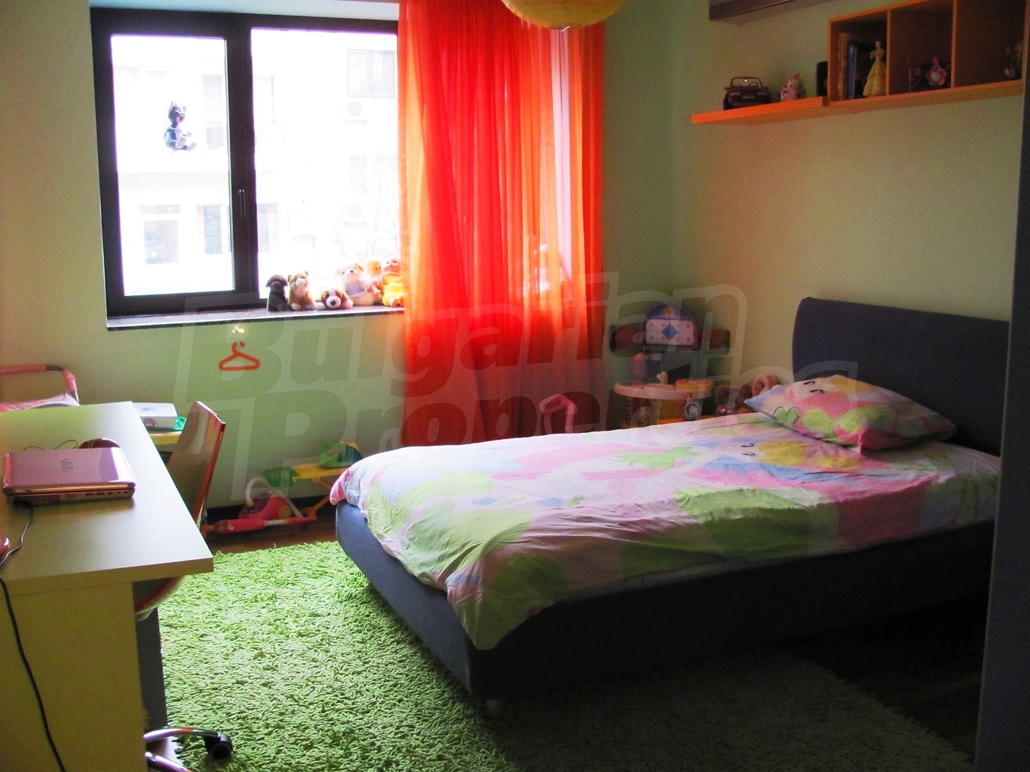 Gallery Picture 15