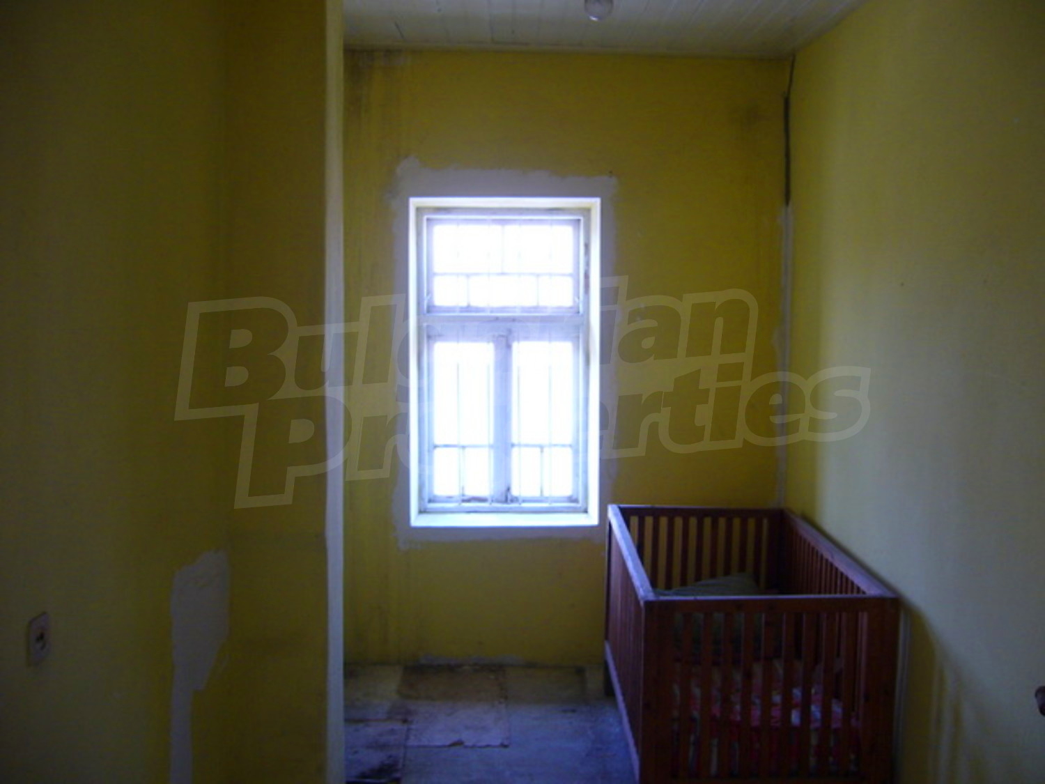 Gallery Picture 12