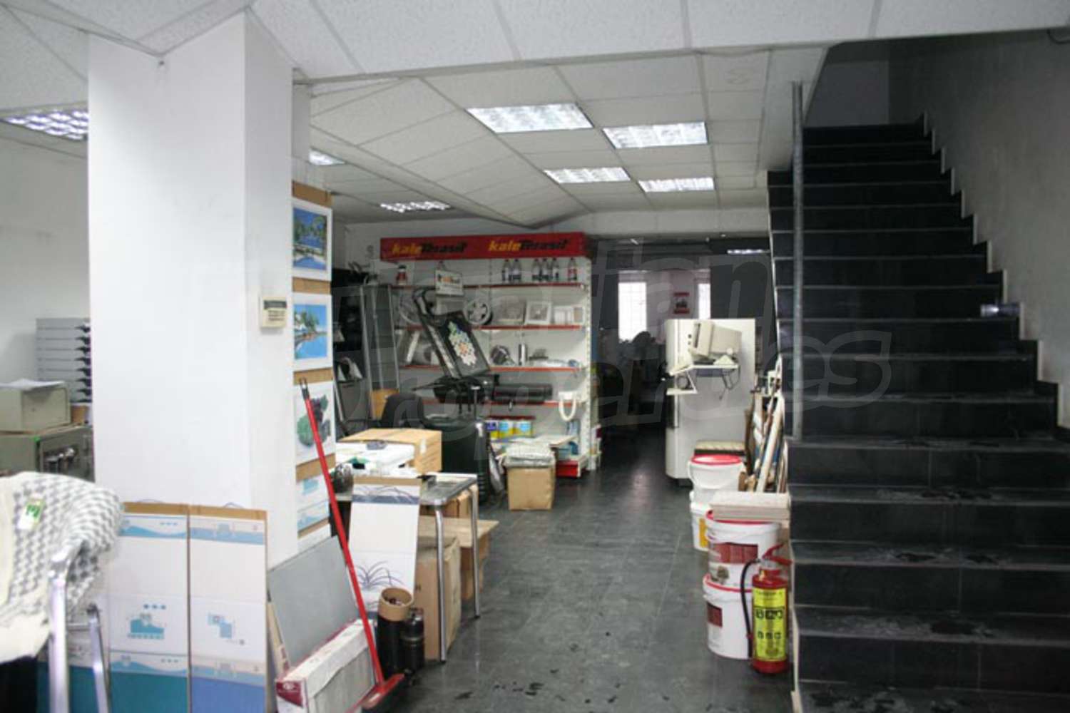 Gallery Picture 3