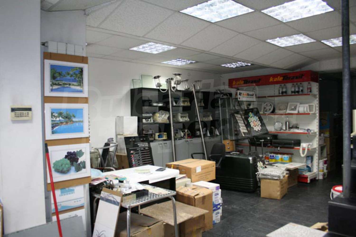Gallery Picture 4