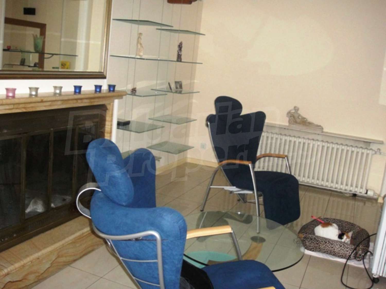 Gallery Picture 3