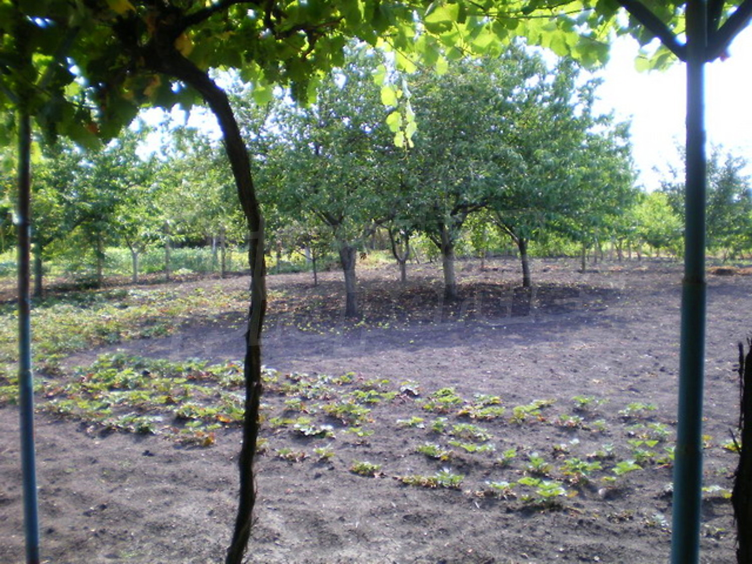 Gallery Picture 11
