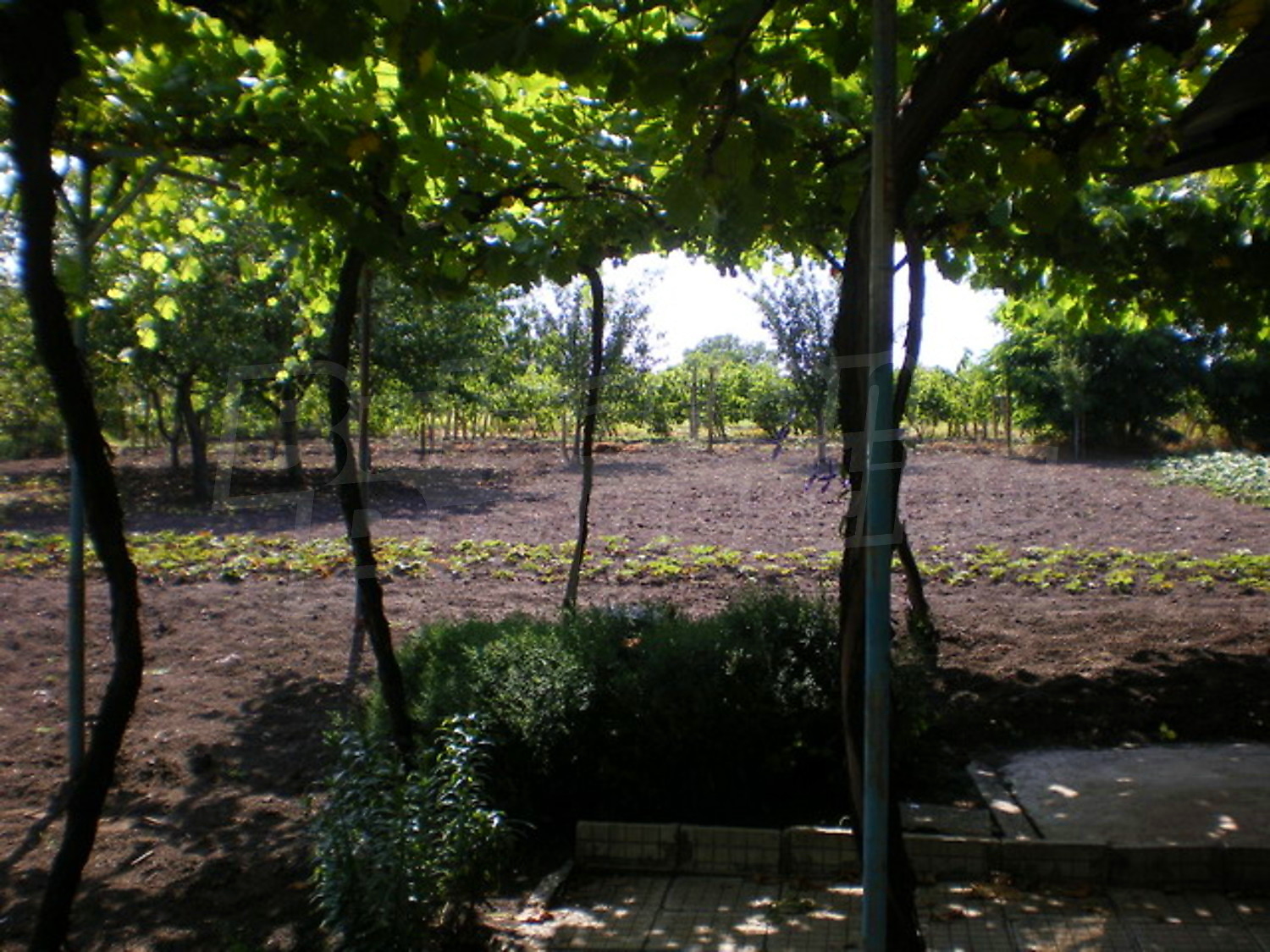 Gallery Picture 15