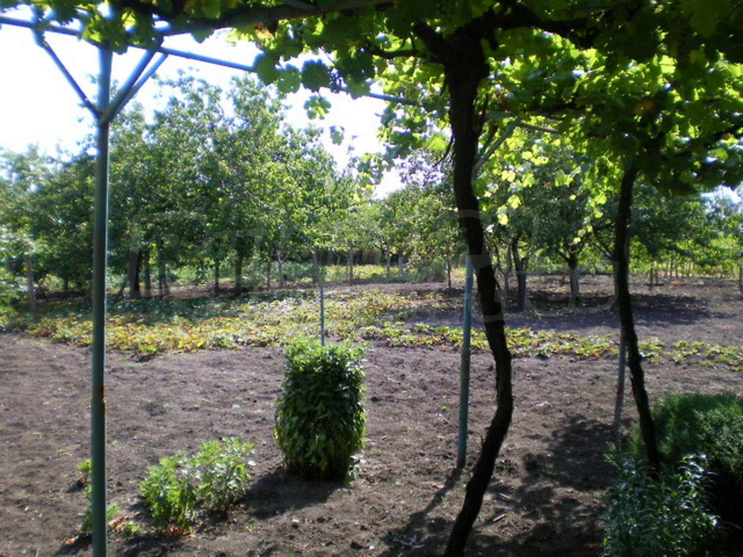 Gallery Picture 16