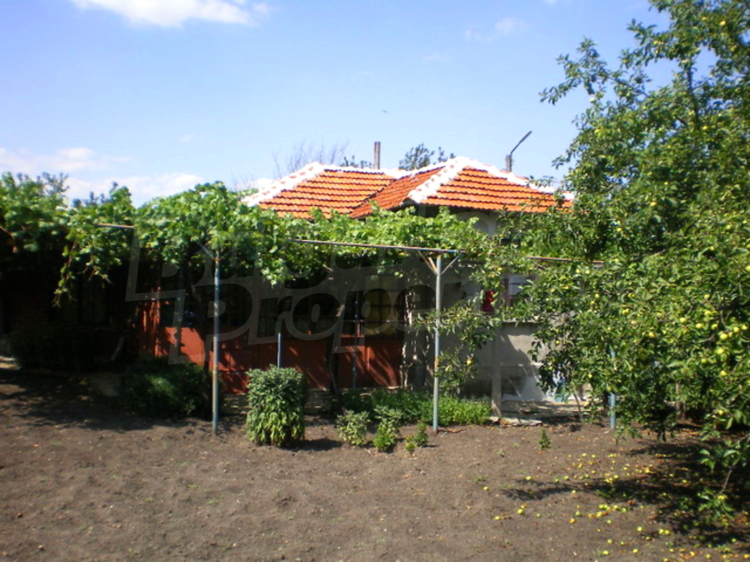 Gallery Picture 18