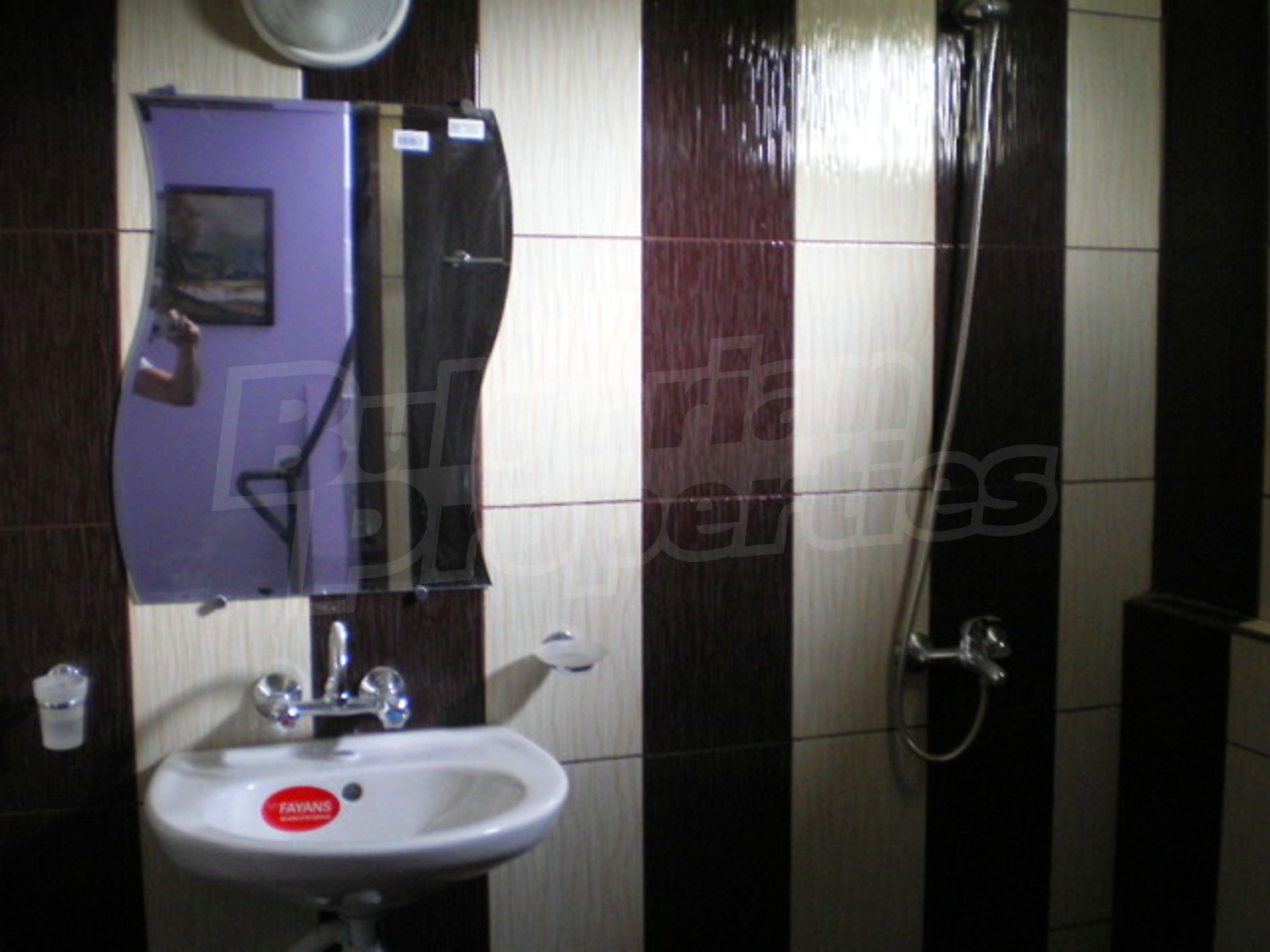 Gallery Picture 10
