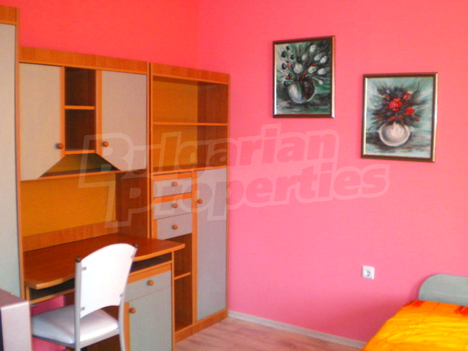 Gallery Picture 17