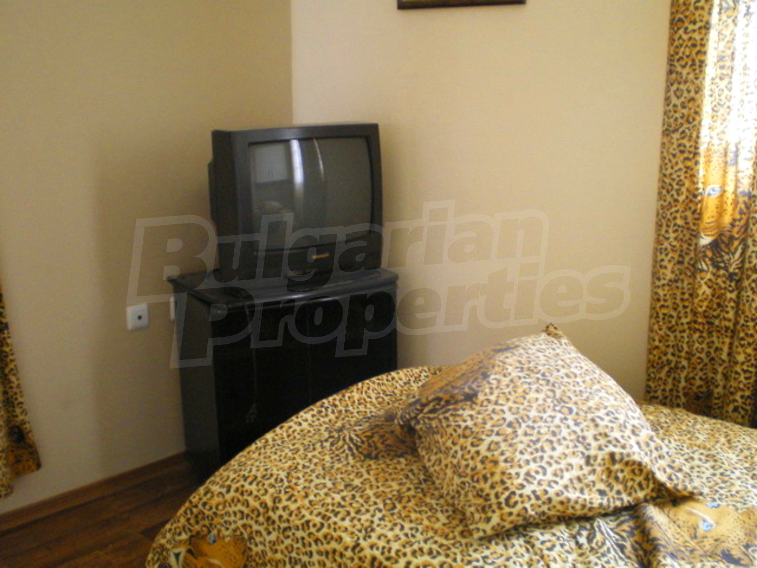 Gallery Picture 19