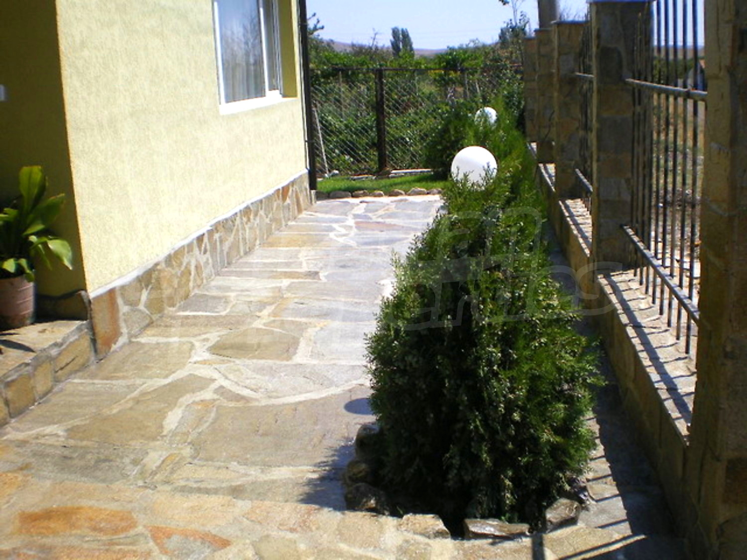 Gallery Picture 22