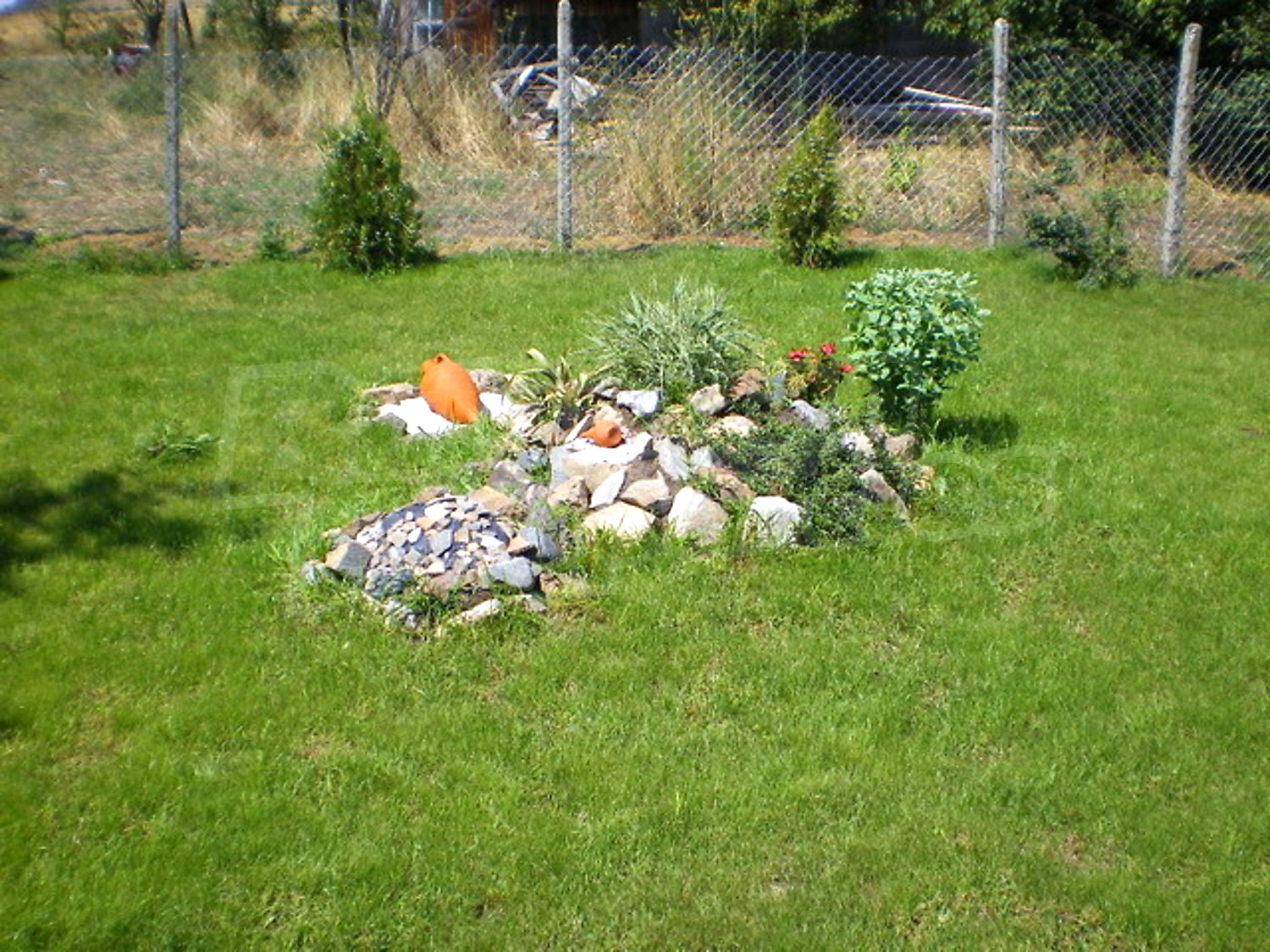 Gallery Picture 25