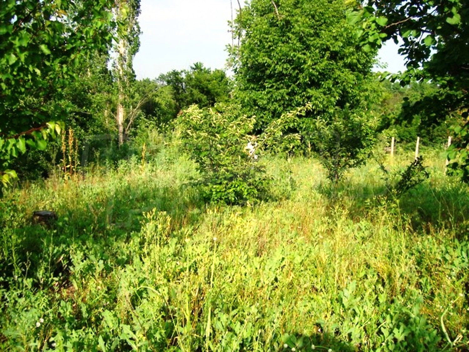 Gallery Picture 6