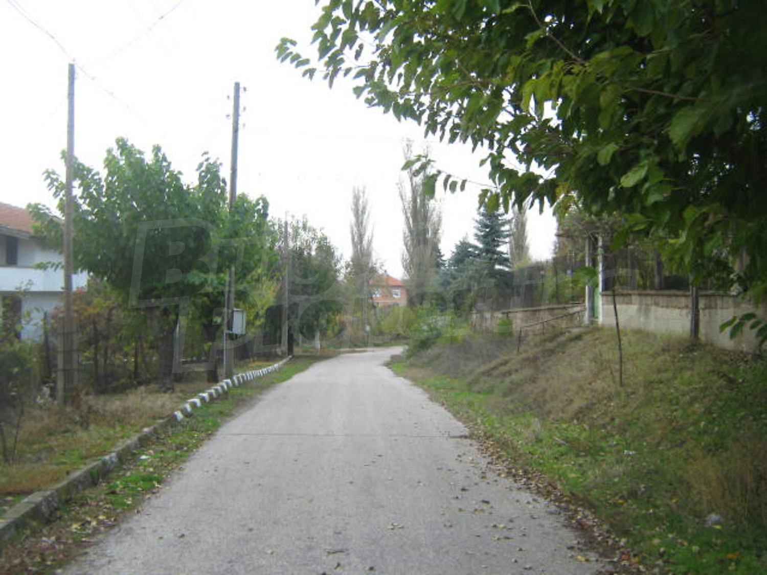 Gallery Picture 10