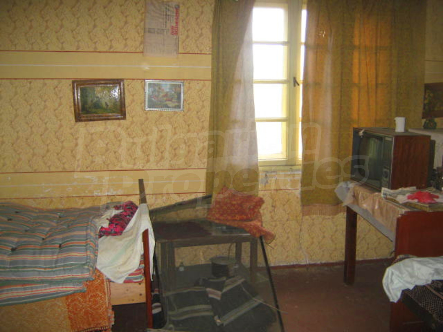 Gallery Picture 6