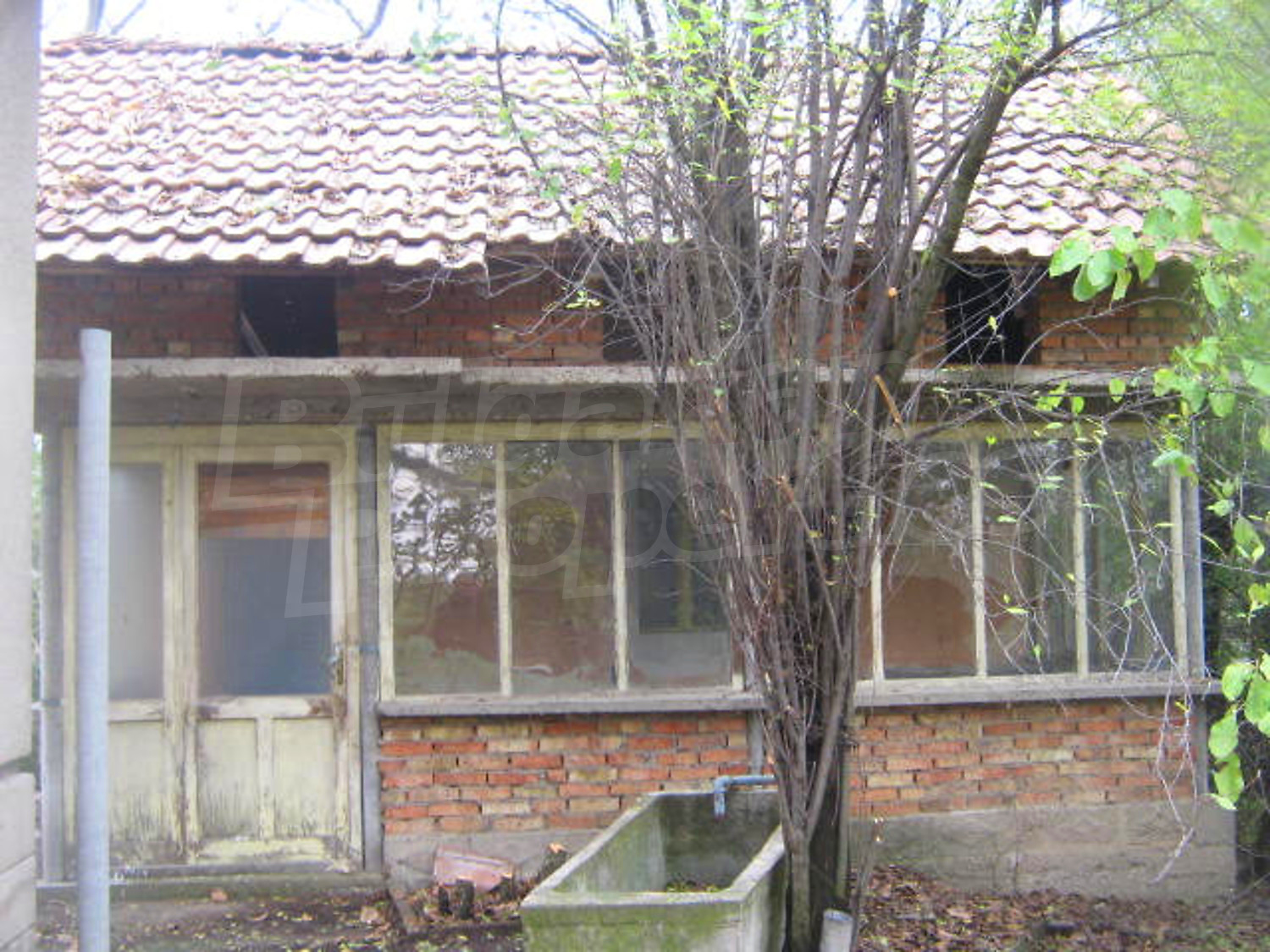 Gallery Picture 8