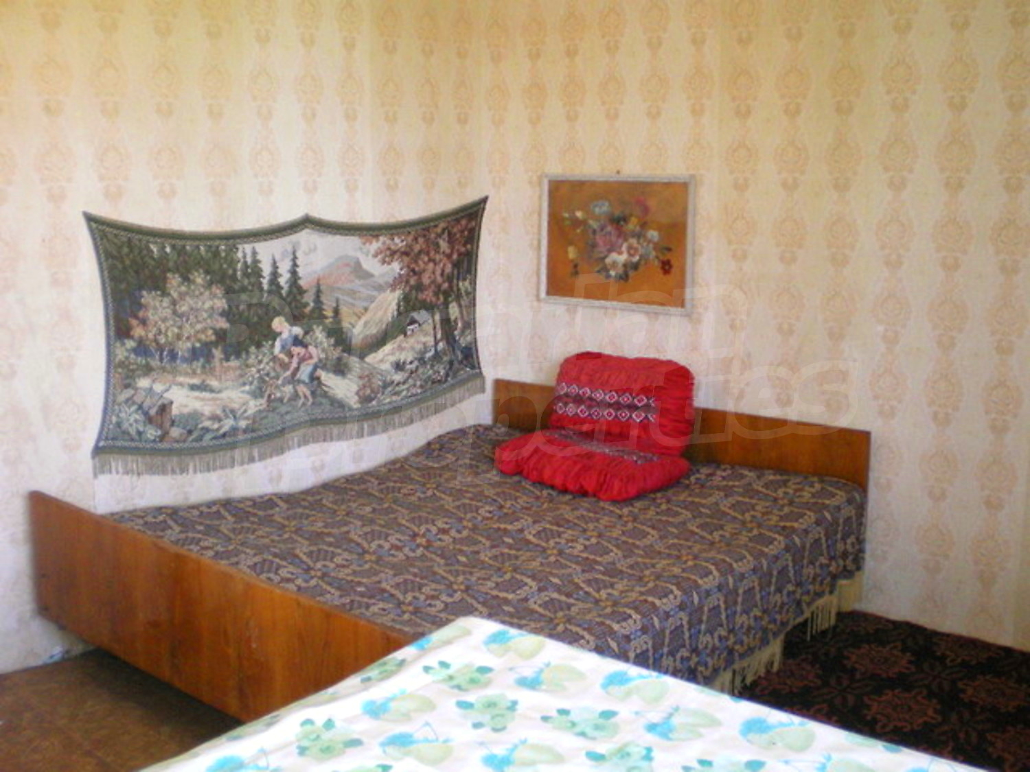 Gallery Picture 11