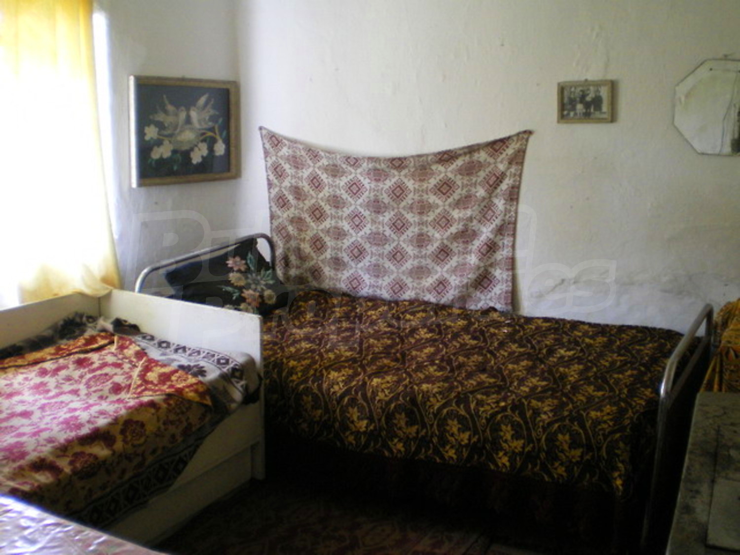 Gallery Picture 13
