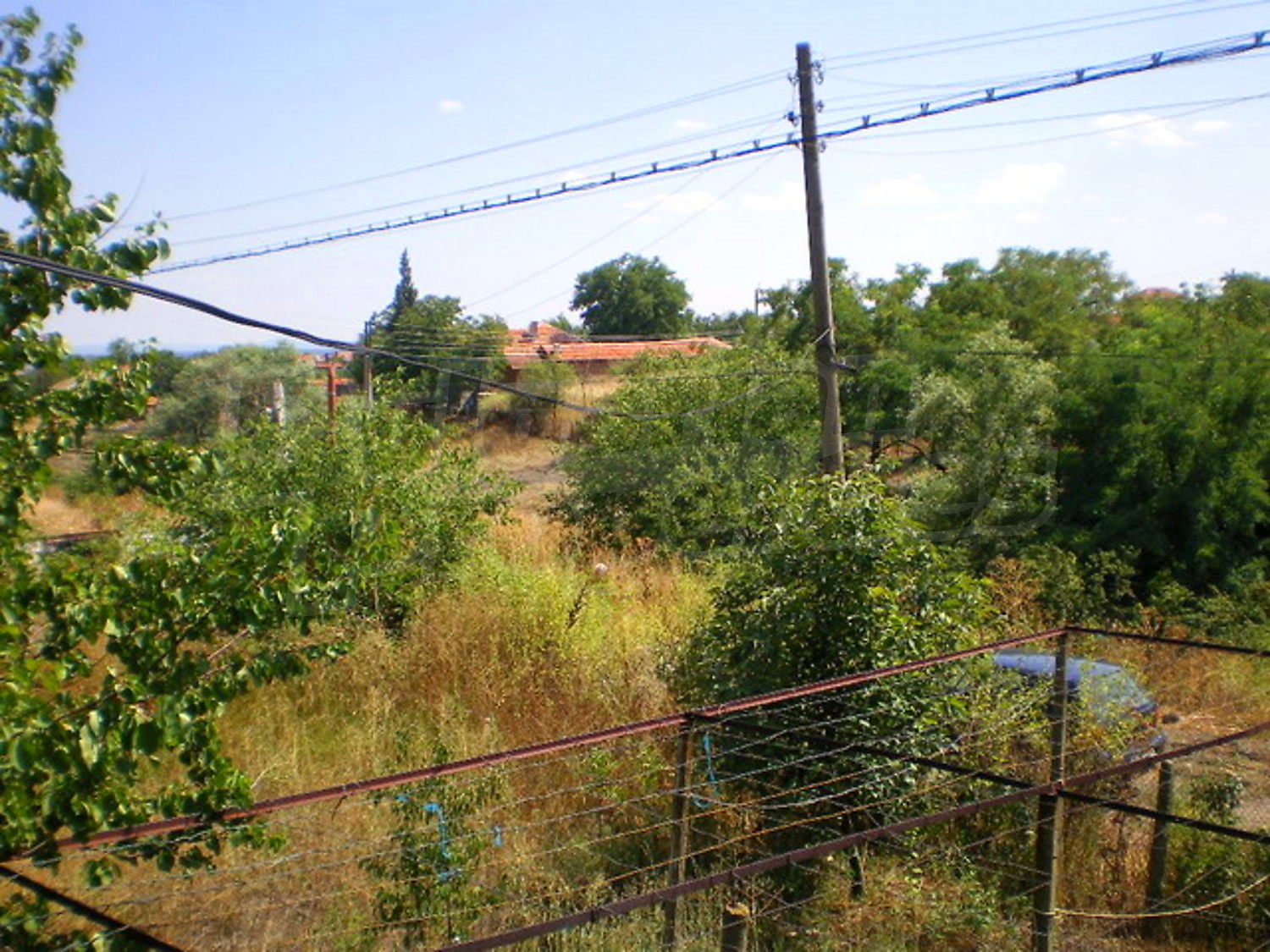 Gallery Picture 18