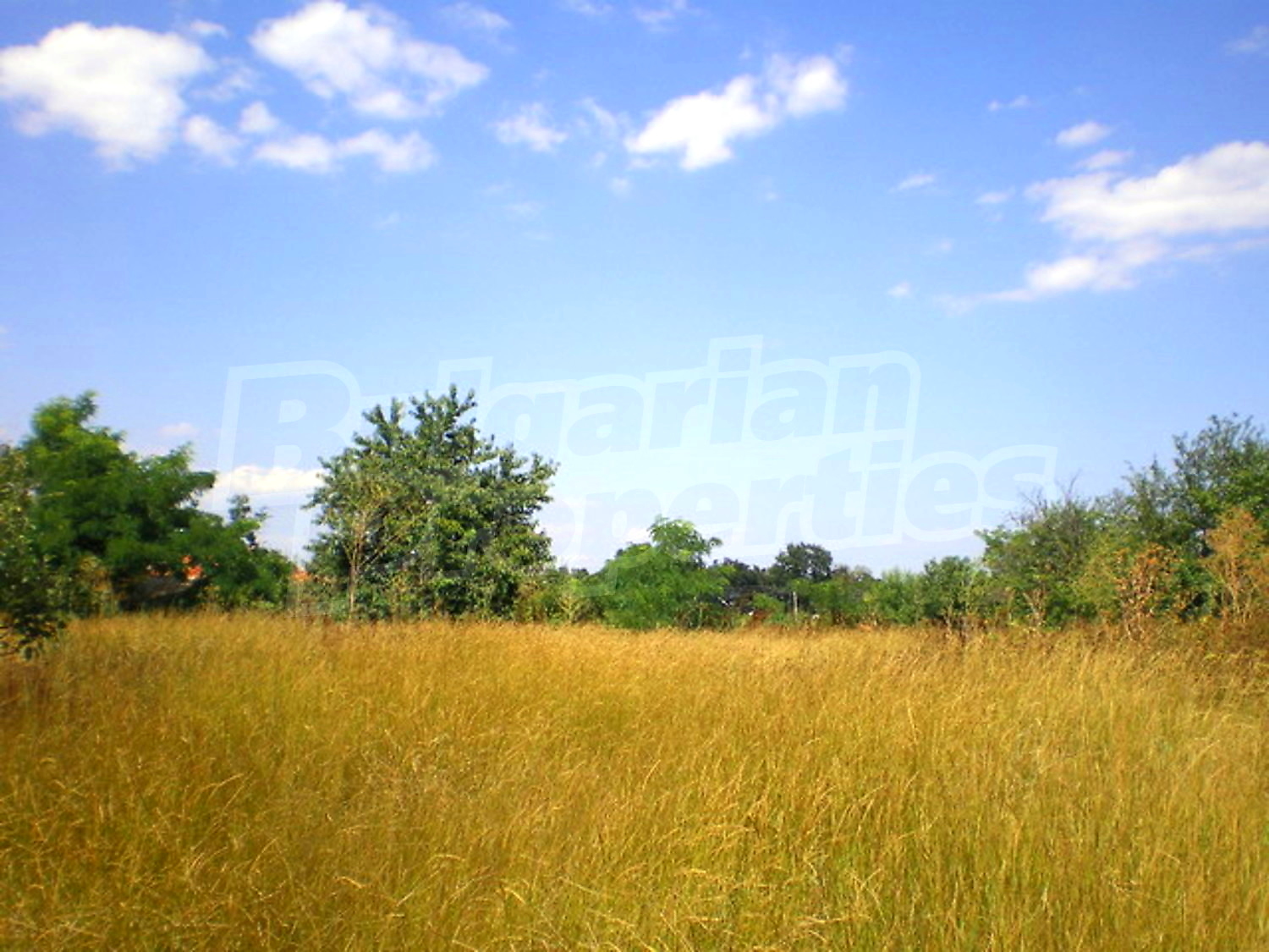 Gallery Picture 20