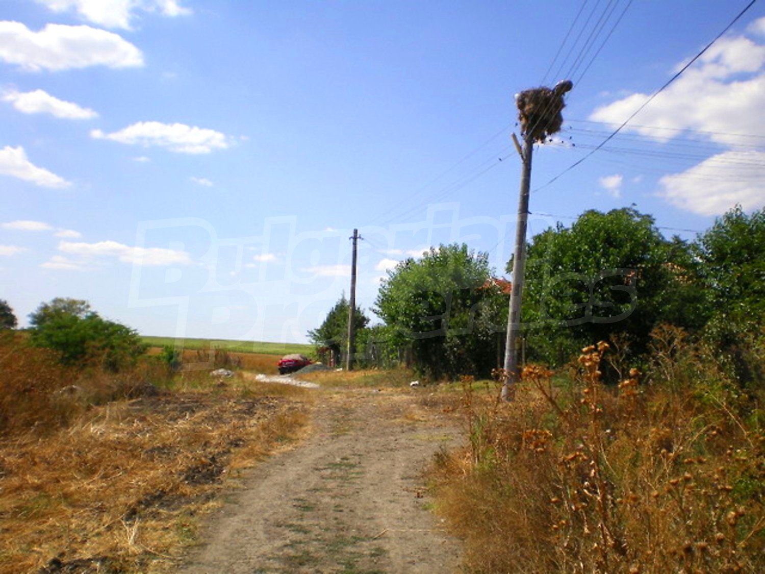 Gallery Picture 22
