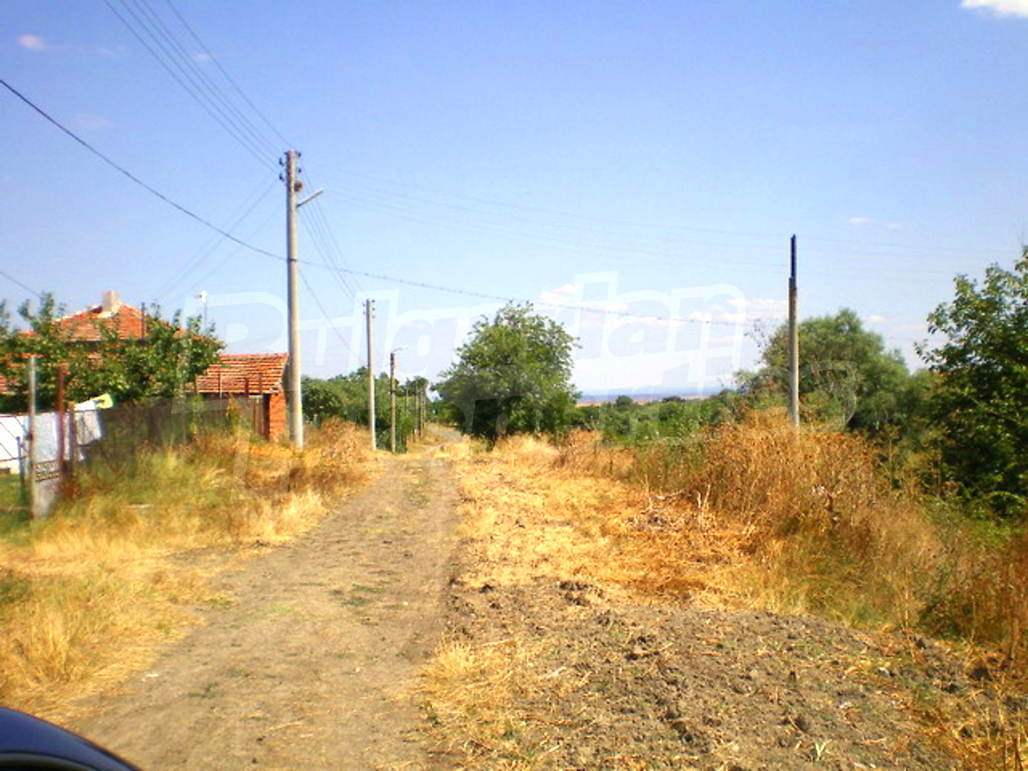 Gallery Picture 23