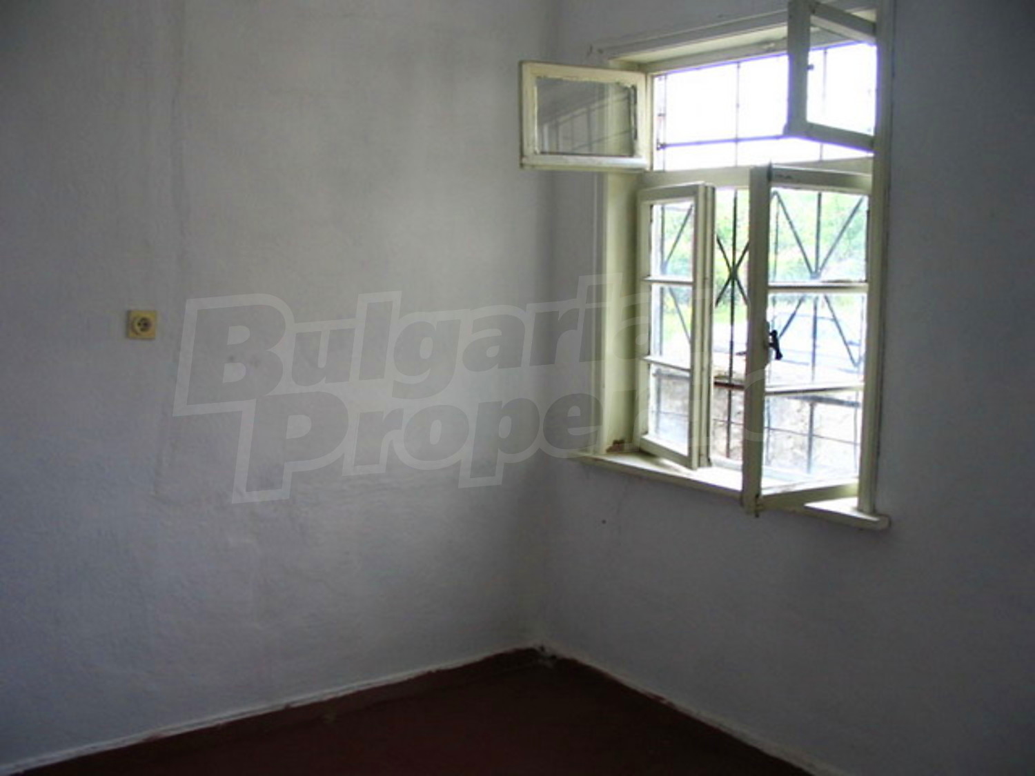 Gallery Picture 5