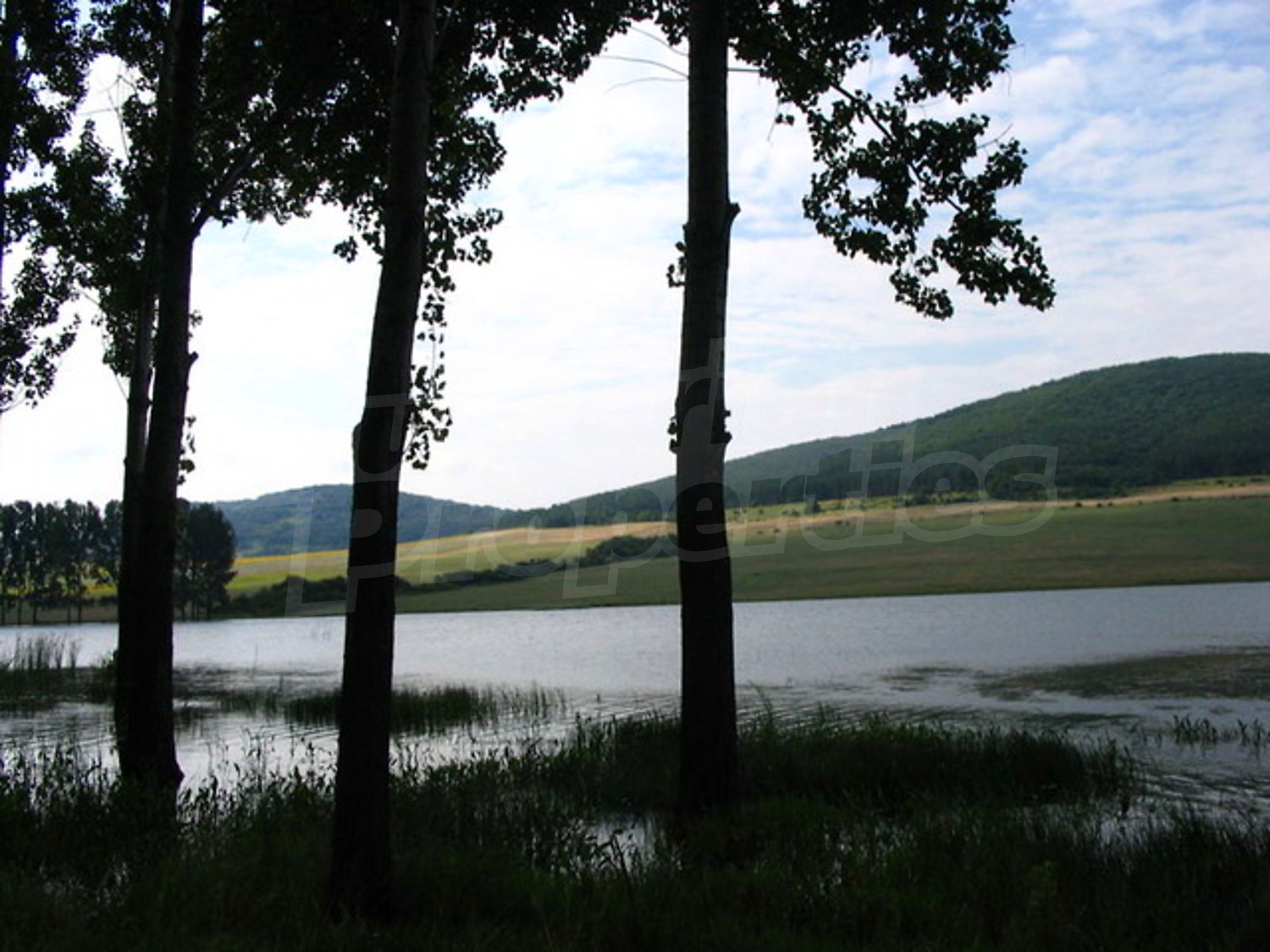 Gallery Picture 7
