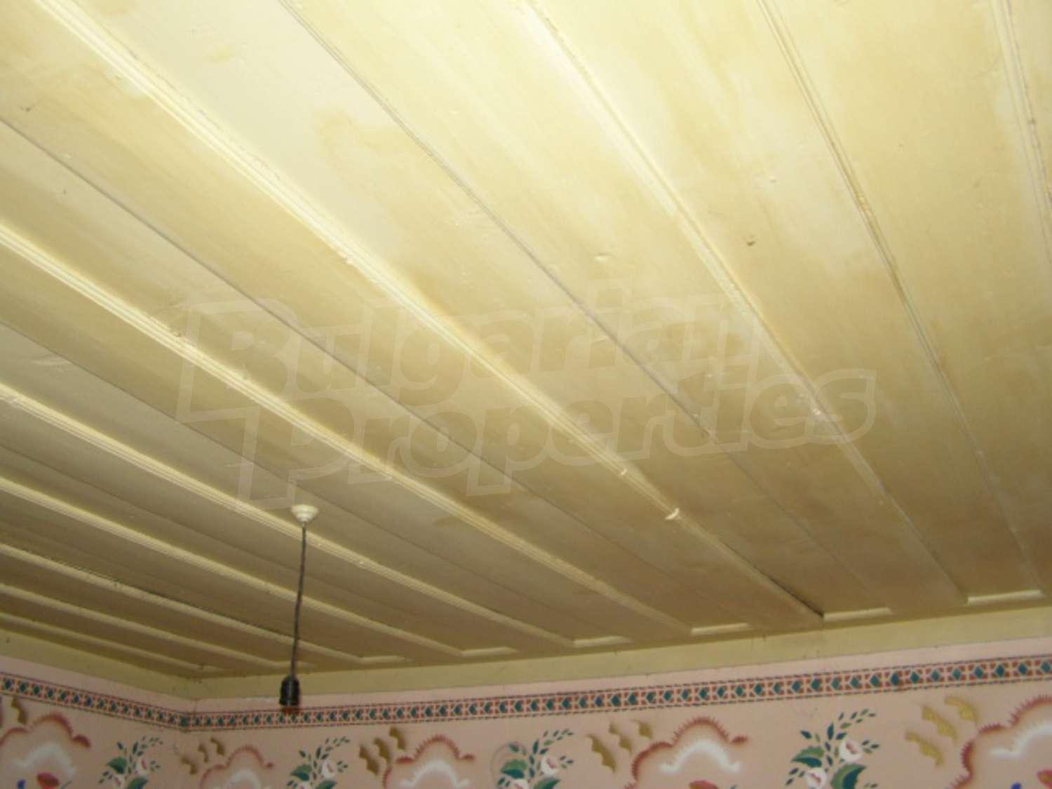 Gallery Picture 14