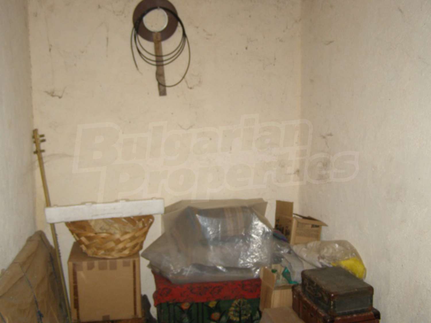 Gallery Picture 15
