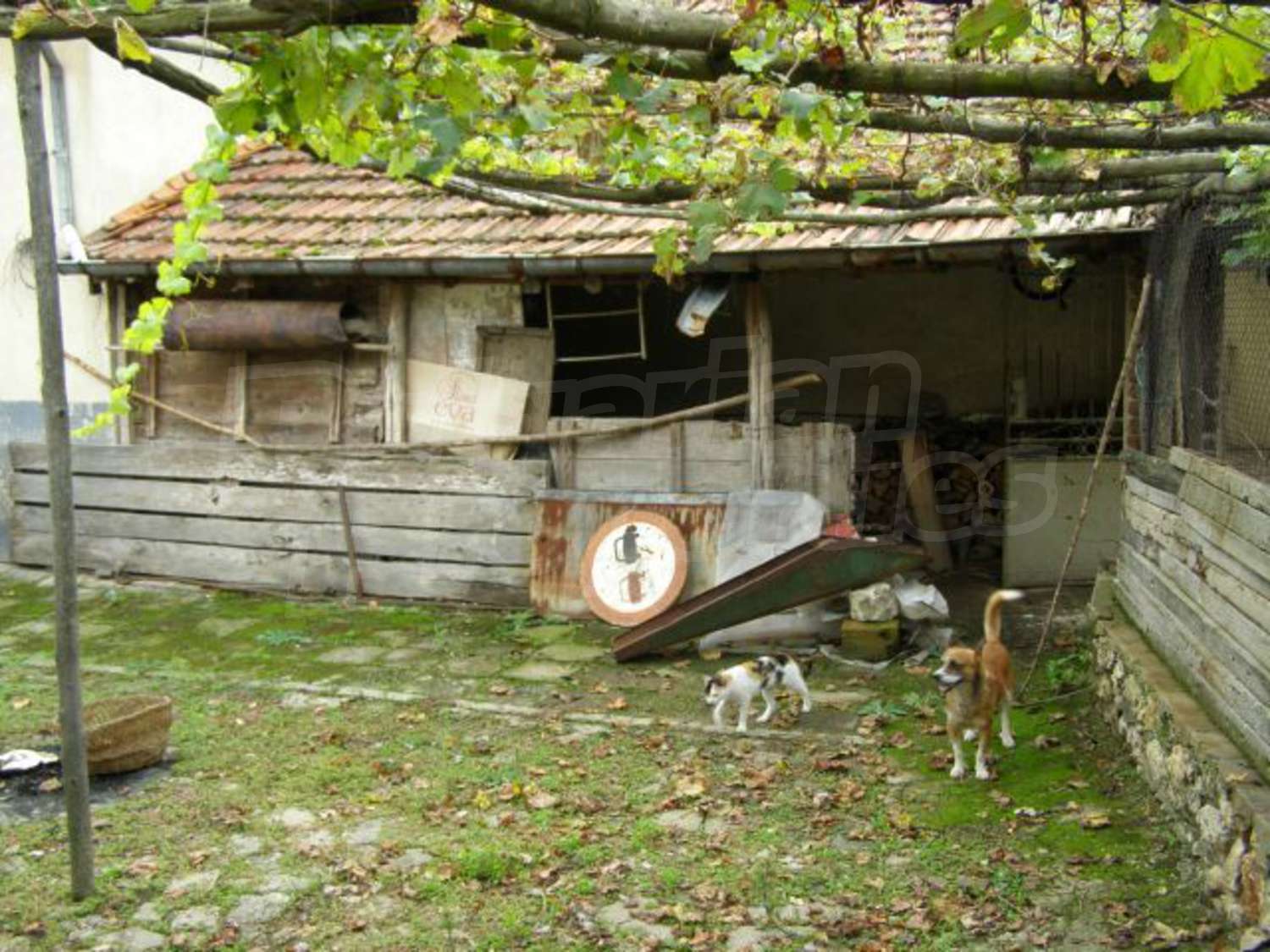 Gallery Picture 18