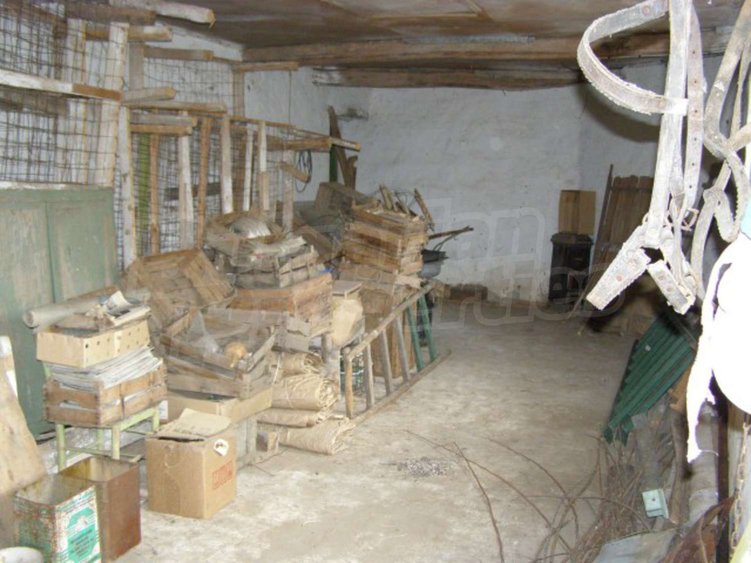 Gallery Picture 19