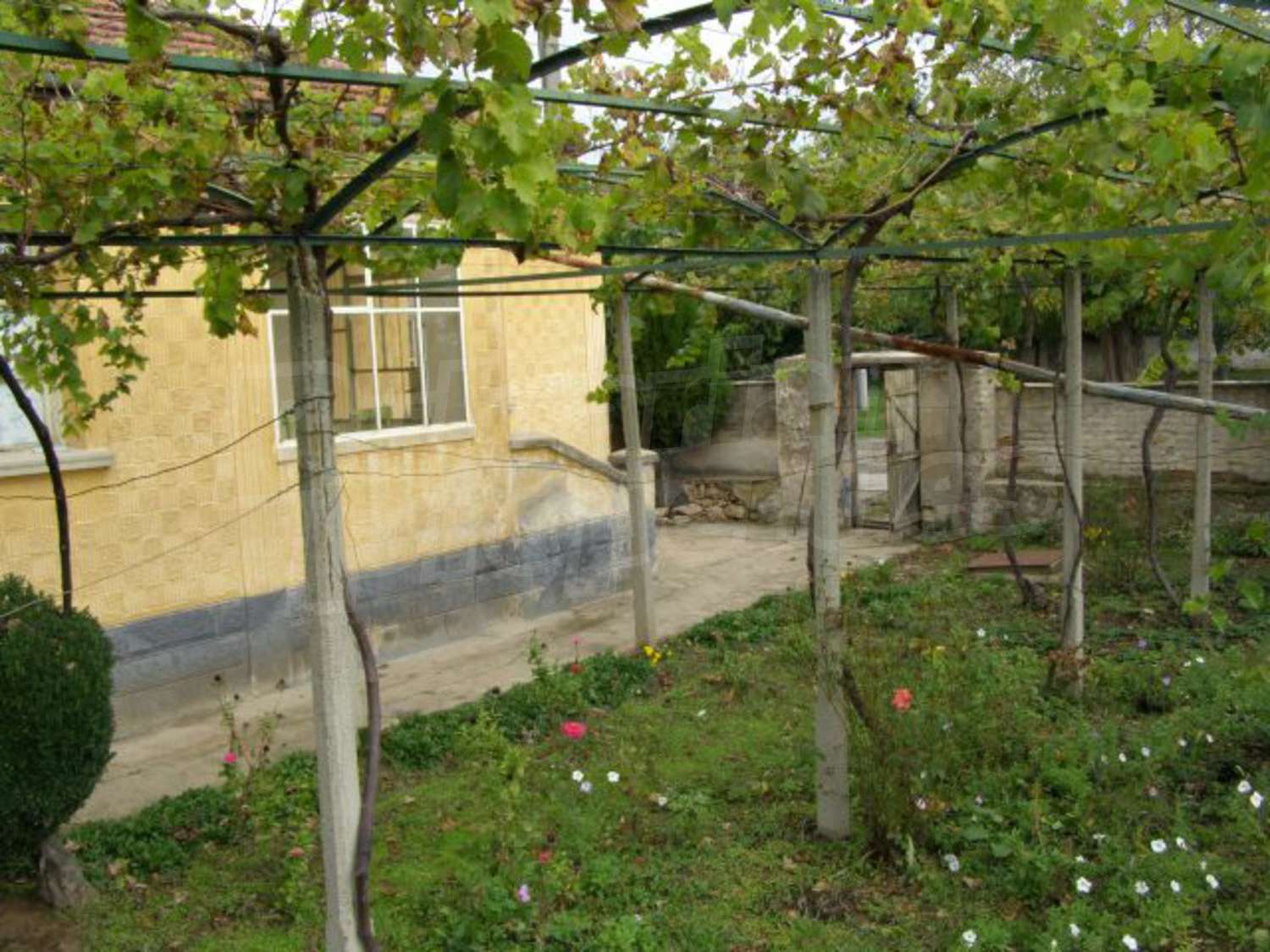 Gallery Picture 21