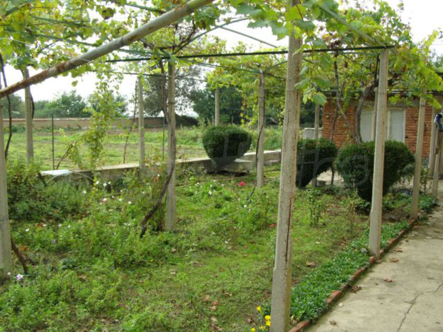 Gallery Picture 22