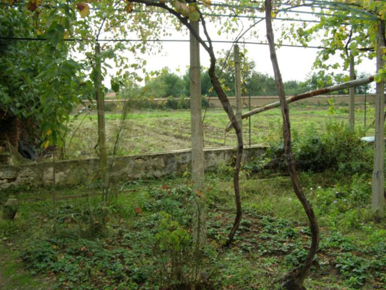 Gallery Picture 23