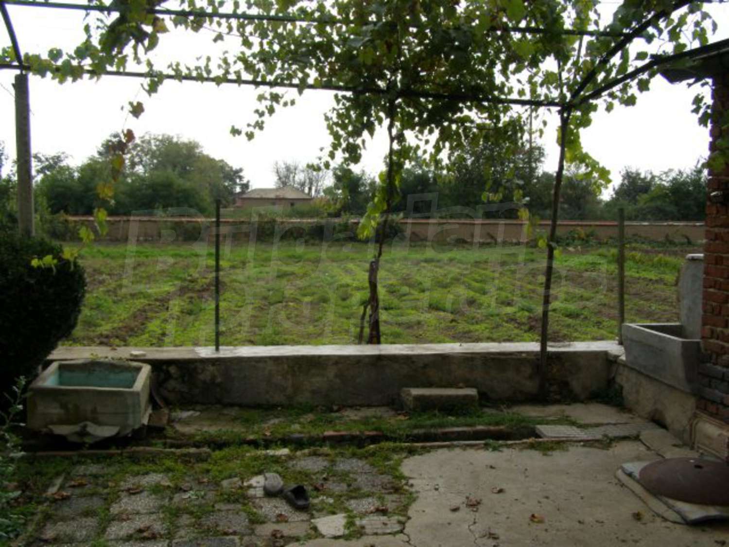 Gallery Picture 25