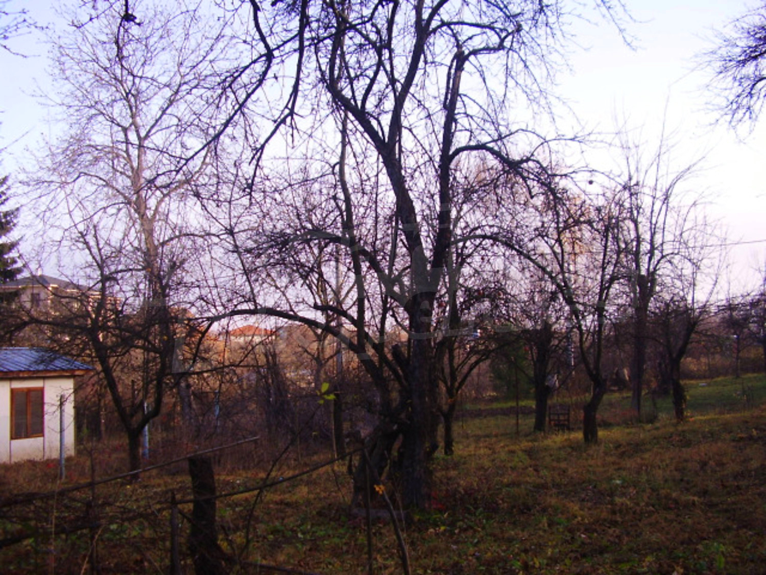 Gallery Picture 11