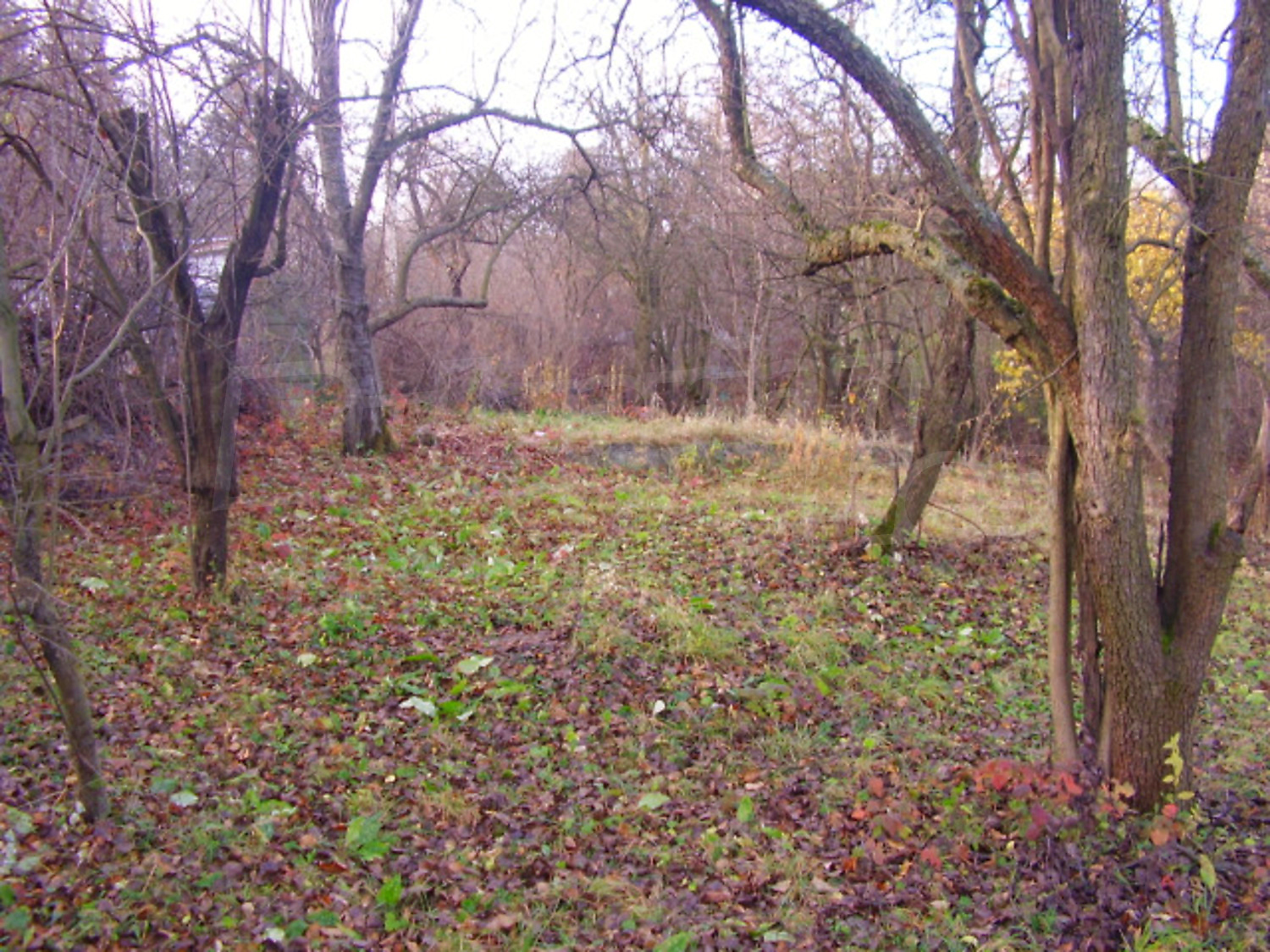 Gallery Picture 7