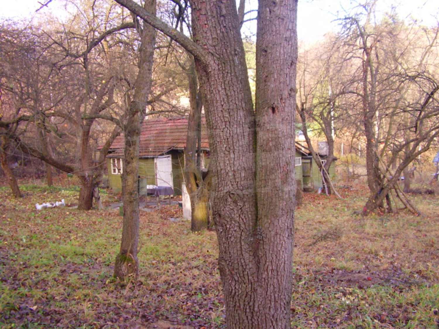 Gallery Picture 8