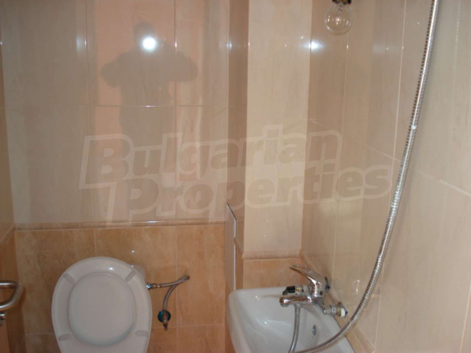 Gallery Picture 4