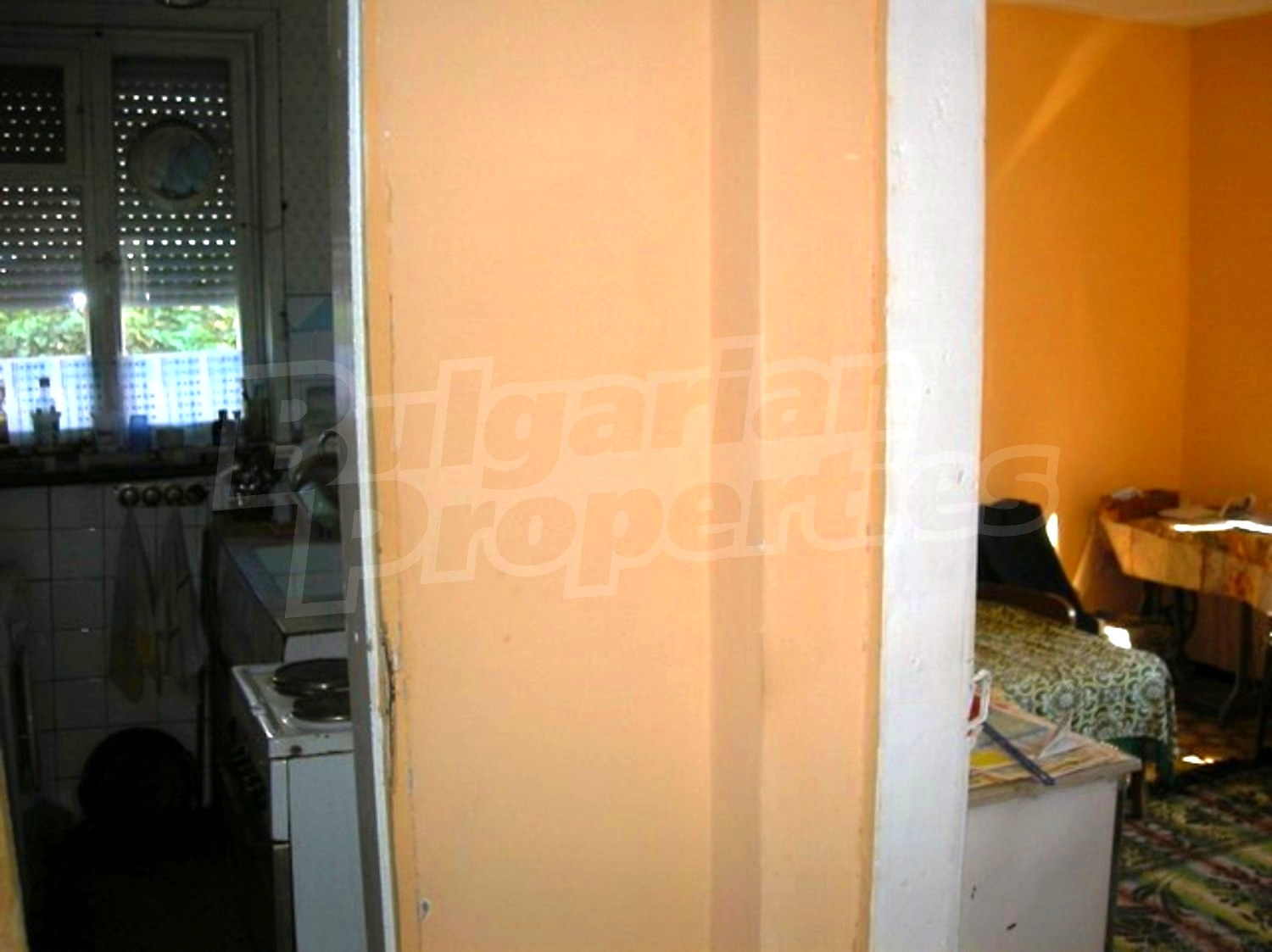 Gallery Picture 10