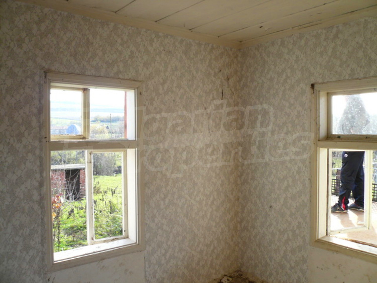 Gallery Picture 4